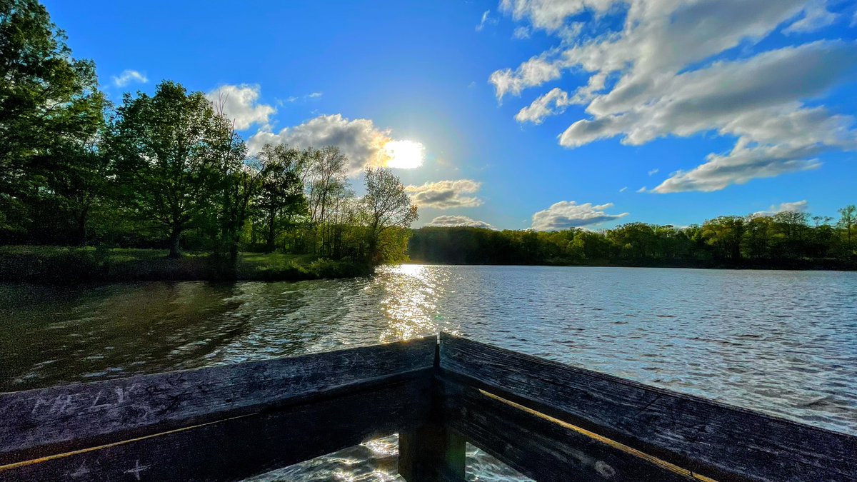 MissyElardi8016's tweet photo. #elardiphotography #murphylake #southernillinois #ruralillinois #nature #murphysboro https://t.co/TqGzKTIzq9
