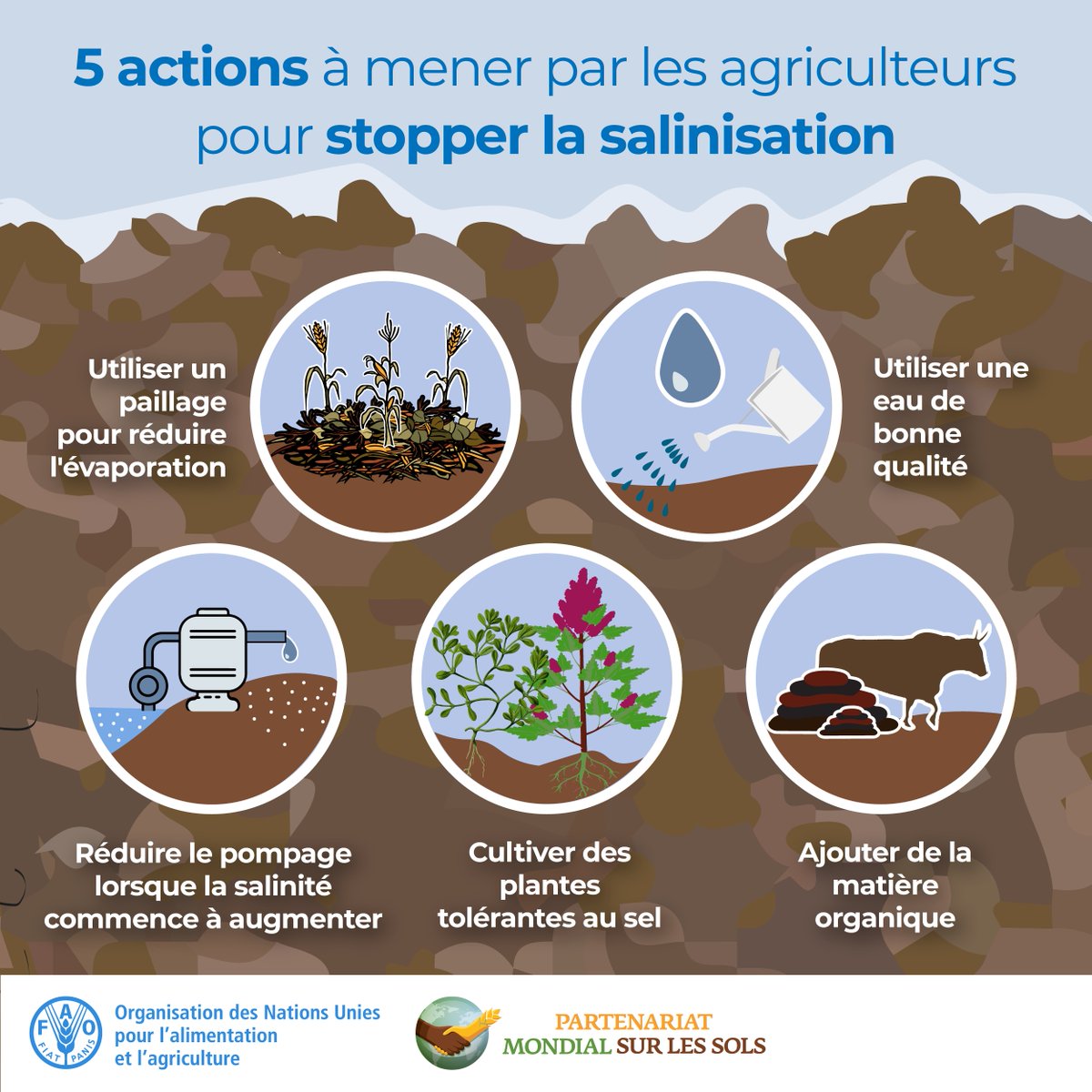Les sols salés limitent la croissance des plantes. Cela représente un sérieux défi pour les moyens de subsistance de millions d'agriculteurs. 

Voici 5⃣ actions pour les agriculteurs afin de mettre fin à la salinisation 👇

#SalinisationDuSol #COP15