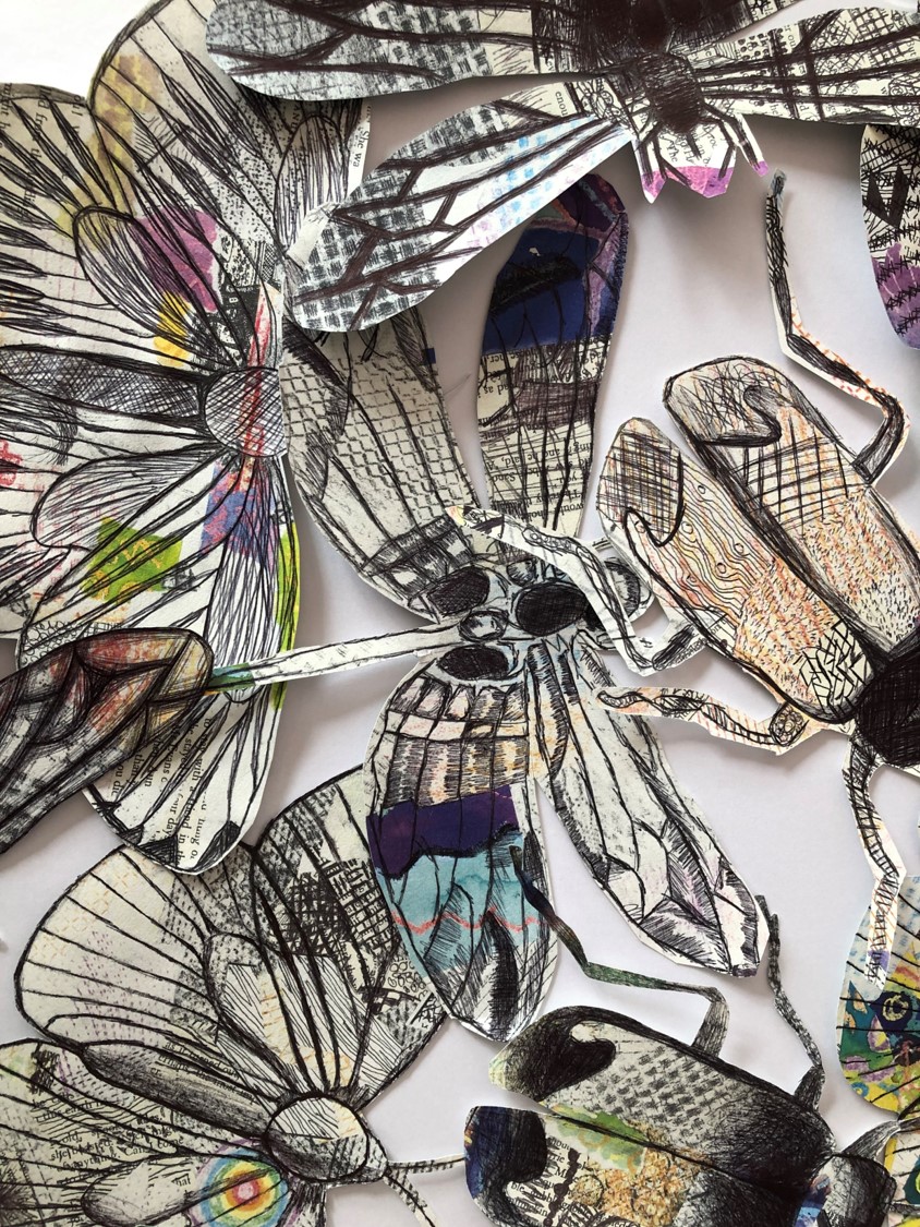 shavingtonart's tweet photo. Year 7 have completed their 'Insects' topic in fine fashion. We have finished biro shading into our Claire Youngs inspired insects. A really beautiful set in final pieces that I'm sure they are all very proud of. https://t.co/MTU6ocApeo
