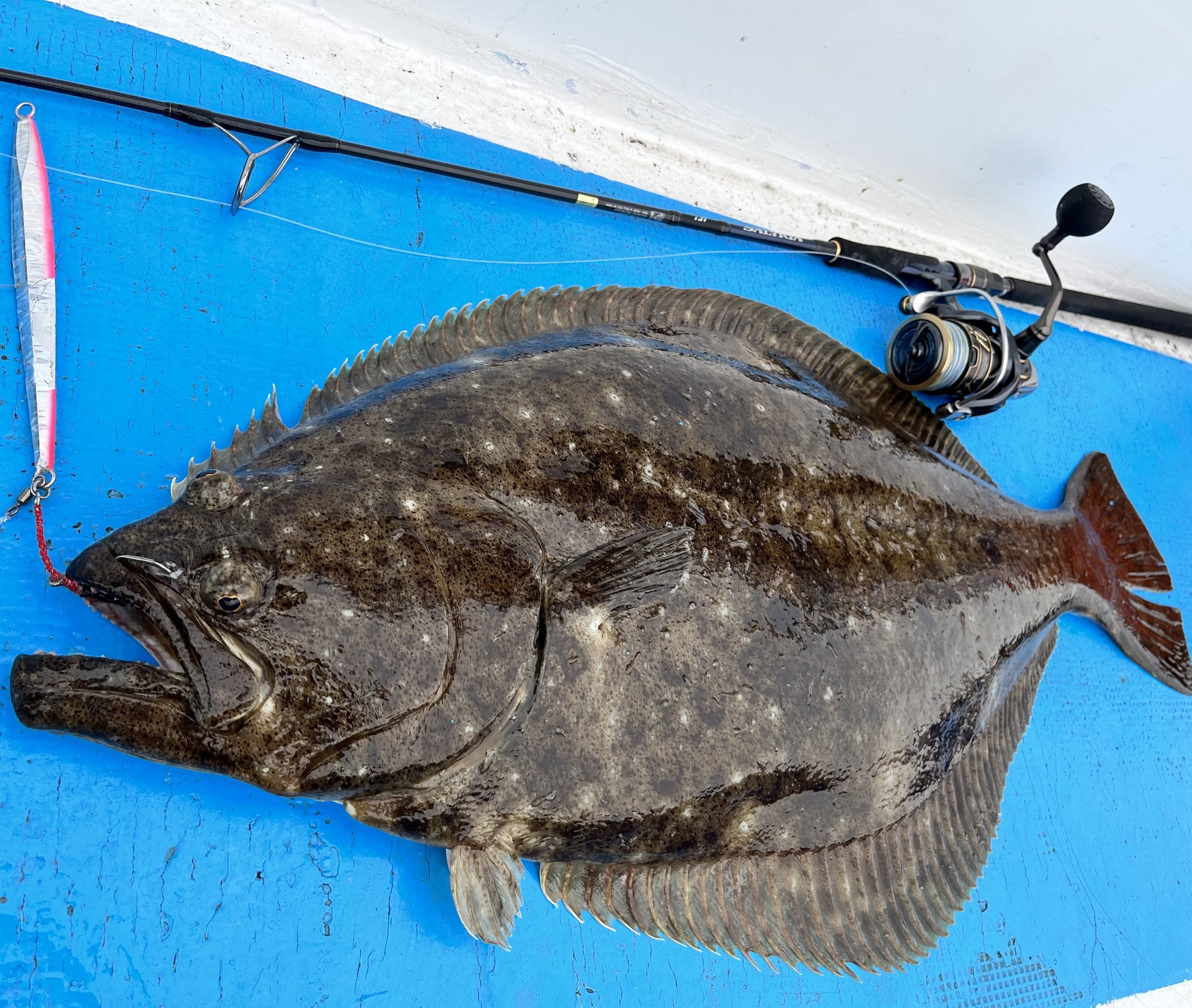 栗山佳尚 中層ガツン 根掛かりか 座布団１枚目 山田く んっ さっきのは二枚目でした 茨城沖 ジギング カルディアsw Mmジグ ヒラメ 笑点 T Co Rxvrzdimvu Twitter
