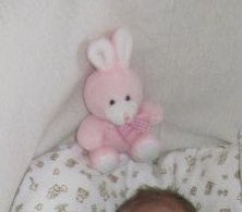 LOST Pink Bunny at @_traffordcentre this Saturday 7th May. It’s only around 9inches tall, pink bunny with white and pink gingham ribbon round it’s neck. My daughter is absolutely devastated as it was her first ever teddy. Please retweet and help us to find it. 💔