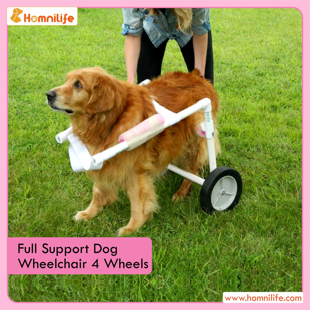 Homnilife_US's tweet photo. It’s his day today #introduce your #lovely #pet to his #newlegs and let him #discover all the corners of your #garden.
Happy pet happy you with https://t.co/TKnX1WwF3j

#animallover #dogs #HOMNILIFE #PetProtects #PetToys #doghealth #PetSuitcase #dogstyle #dogsmiles #puppylove https://t.co/3YO9q0v1Nu