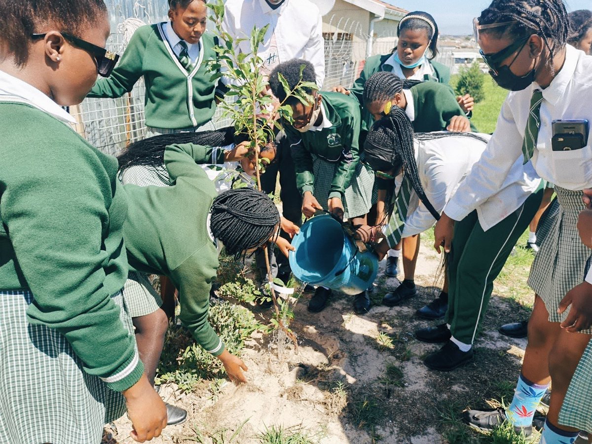 ftfa's tweet photo. Freight Innovations donates trees to @FTFA on a monthly basis. In March, the service provider made a bumper donation of 200 trees!
#SustainableDevelopment #CSI #CommunityTreePlanting https://t.co/Pteadx59hu