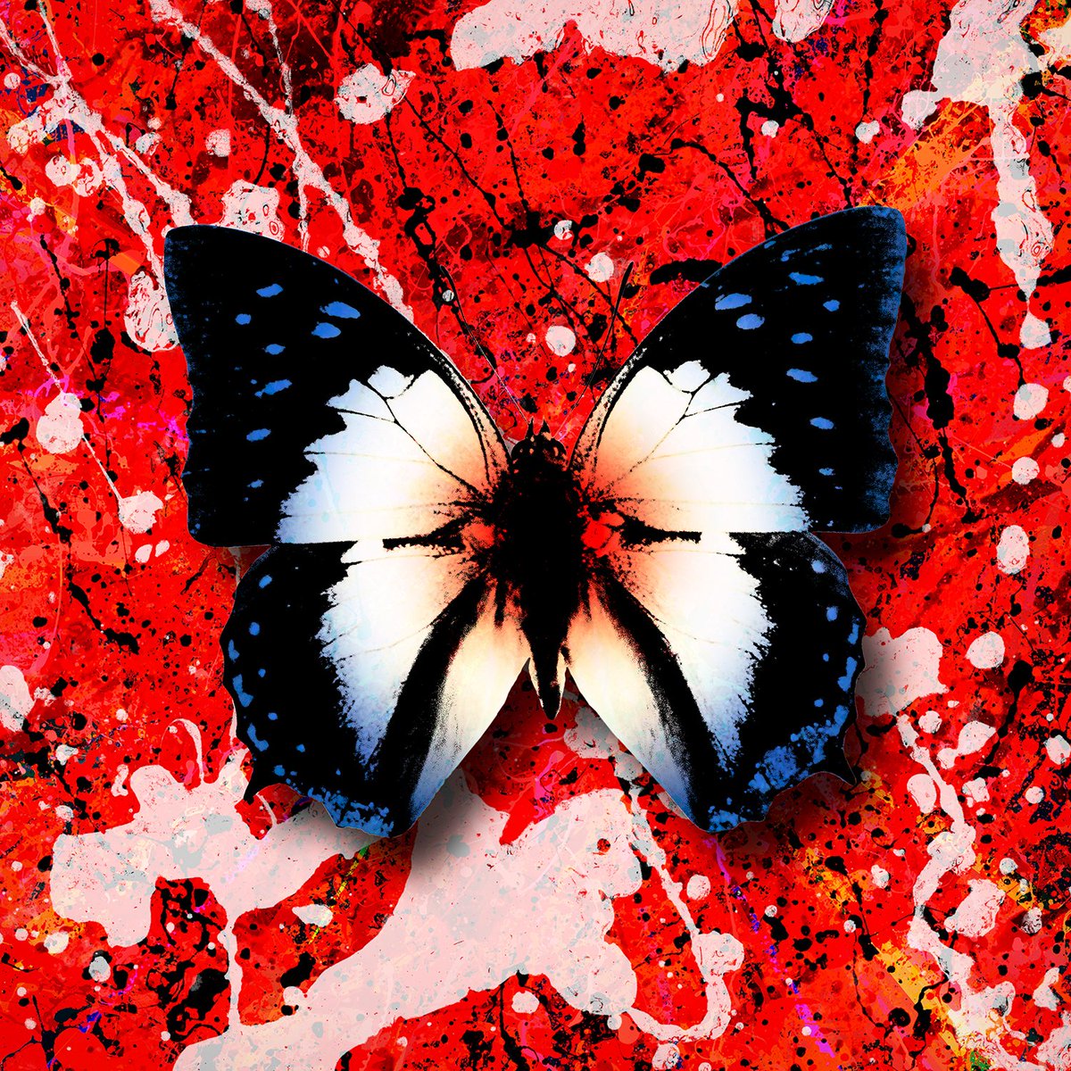 BudjerahS's tweet photo. SURPRISE!! 🥳 It's been so hard to keep this a secret but I can finally tell you all that my remix of Ed Sheeran's song called '2step' is coming out TOMORROW!! 🦋 https://t.co/4osuIofsmi