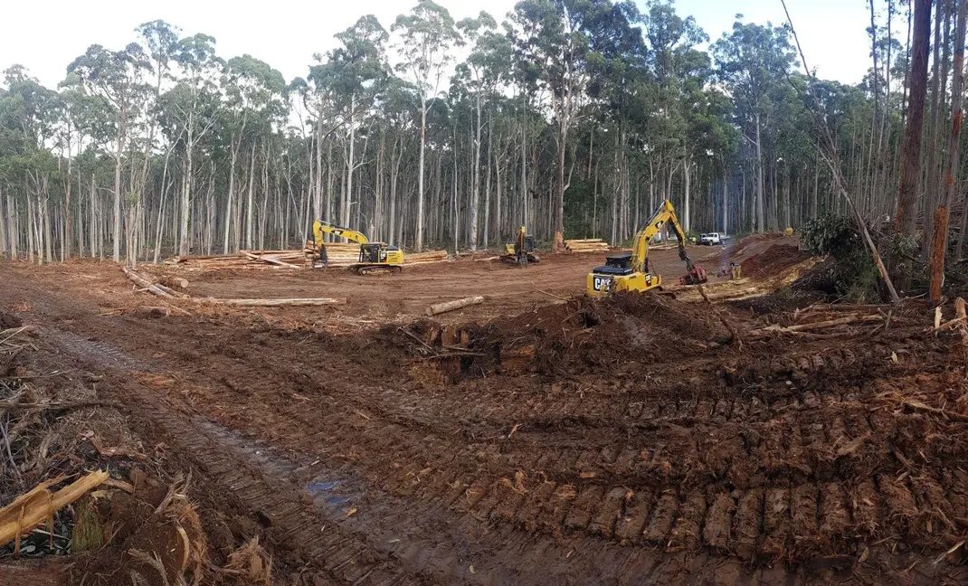 Ecoshouting's tweet photo. The "storm clean up" operation continues today in #WombatForest as @VicForestsComms completely clears large areas and smashes roads through. This is just the beginning. No threatened species surveys. No fire ecologists. 

@MaryAnneThomas @DanielAndrewsMP 
#LaborsLogging https://t.co/i4Ea20zWiB