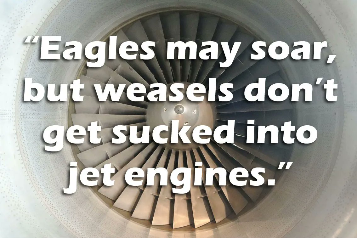 scb_procurement's tweet photo. It's time for more
"Monday morning Inspirational Quotes for the real world", enjoy https://t.co/3SLw2ho5Mk