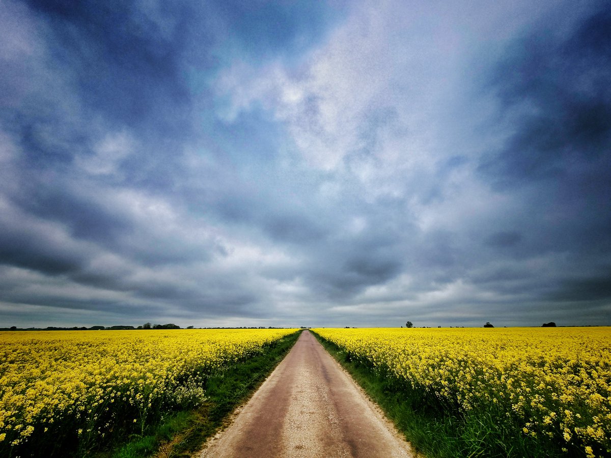 arserge's tweet photo. Le bout de la route.
#Normandie 
#photography #PHOTOS https://t.co/dQoHtetMHD