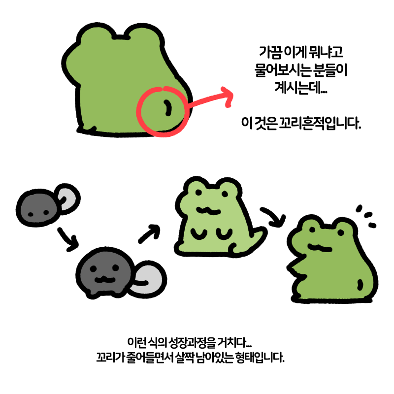 anonymous_ikm's tweet photo. + 가끔 들어오는 질문에 대한 답입니다 (별 것 아님) https://t.co/Gr0YBXKAHj