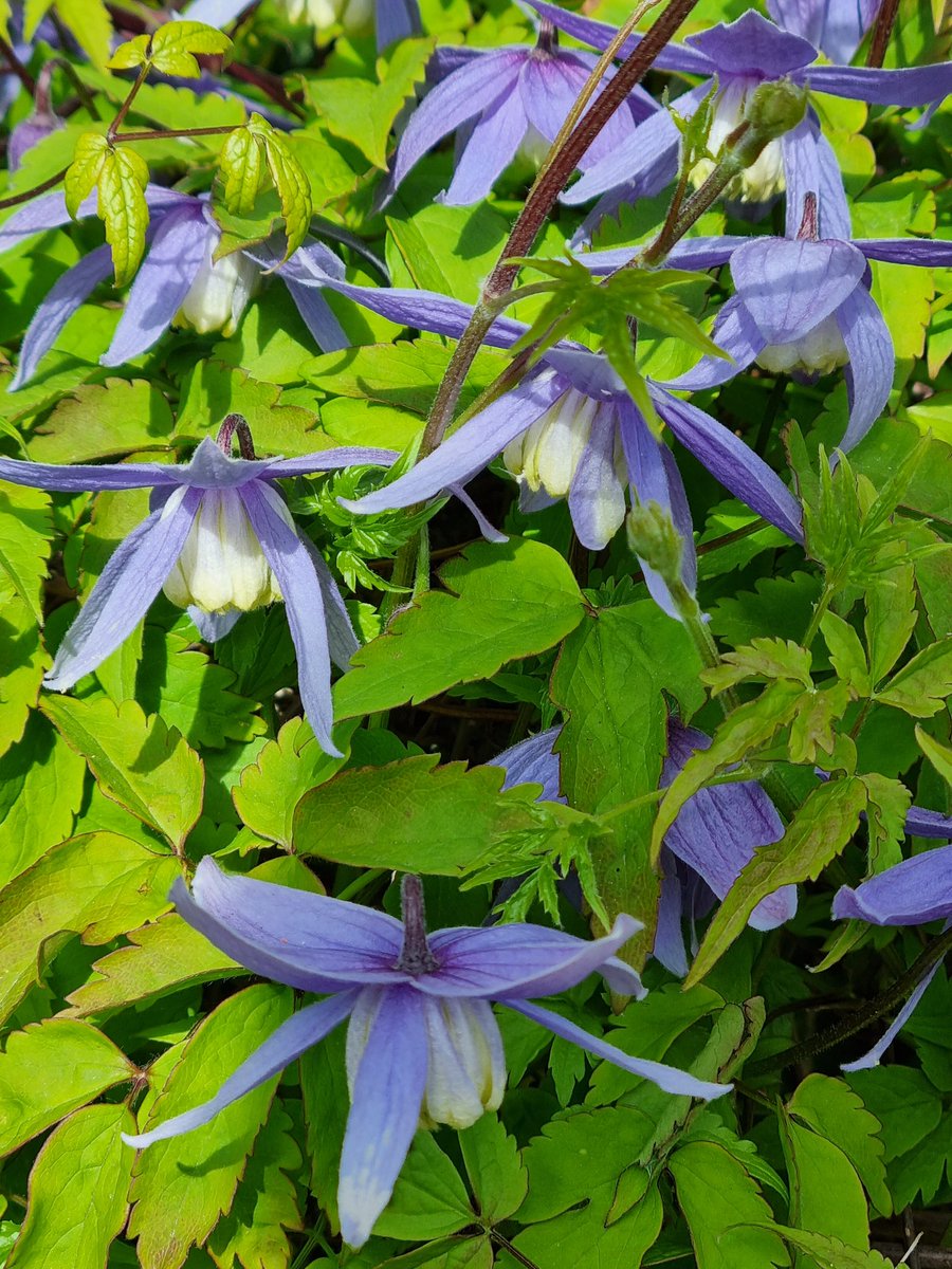 Mark Jones MBE 💎 tweet media