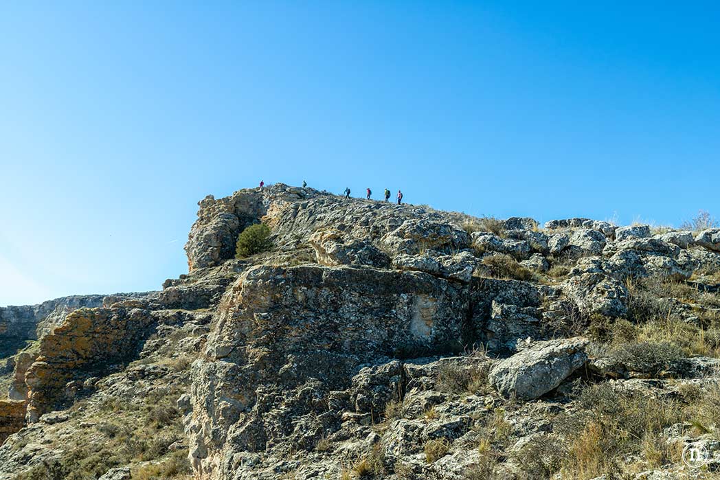 NomadasO's tweet photo. Una de las mejores rutas de #senderismo en #Soria y ya es decir:
Cañón de Vildé @CyLesVida @spain
⭐https://t.co/9bD9sc5hwc⭐ https://t.co/SALptpG3BN