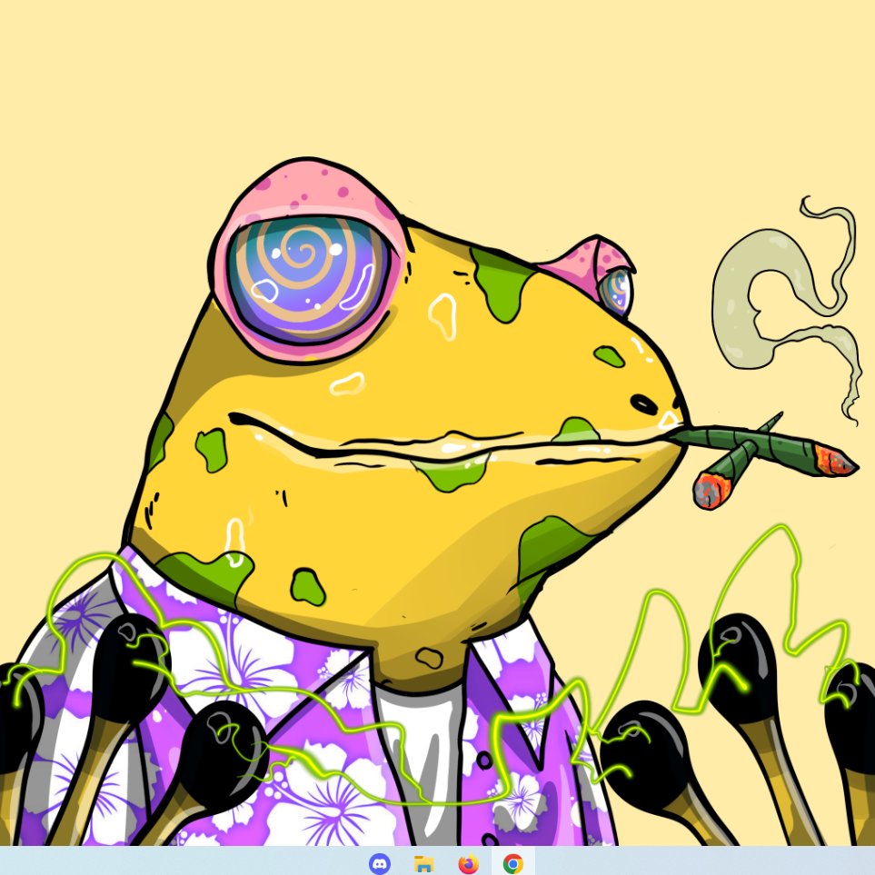 Temi23470438's tweet photo. I AM MY FROG AND MY FROG IS ME  #RIBBIT @TheStonedFrogs https://t.co/ow2v91qgE9