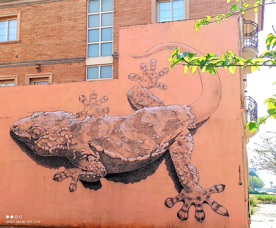 MariaJesusBolta's tweet photo. Hi ha gent meravellosa que busca meravelles d'artistes per inundar el món de meravelles.
Mural de #MarianoCollantes #APIV #Meliana #Hortanord https://t.co/G4oV4p9ysN