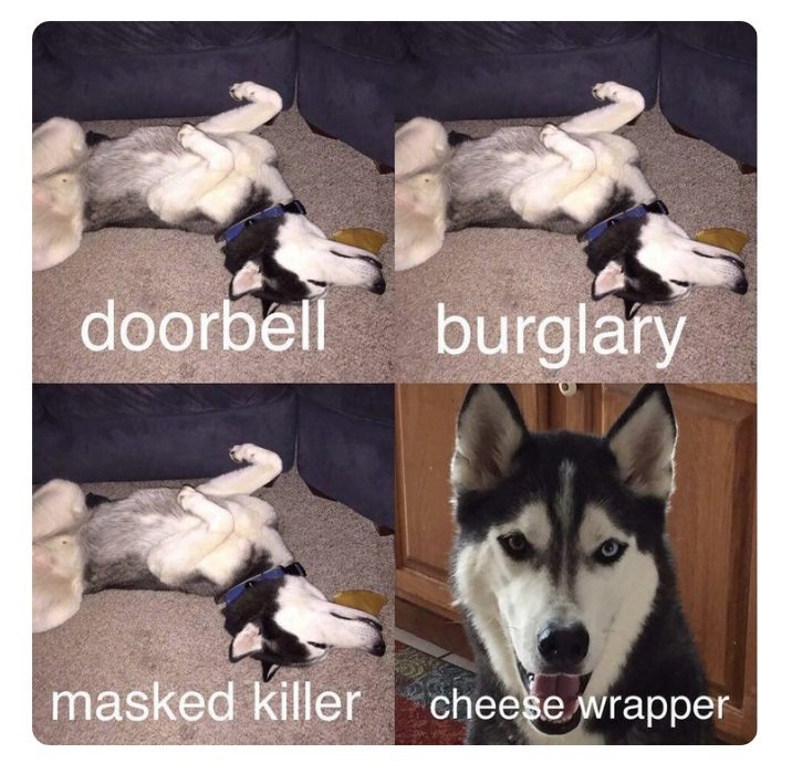 Unrelatable Content (@royalvice_) on Twitter photo 