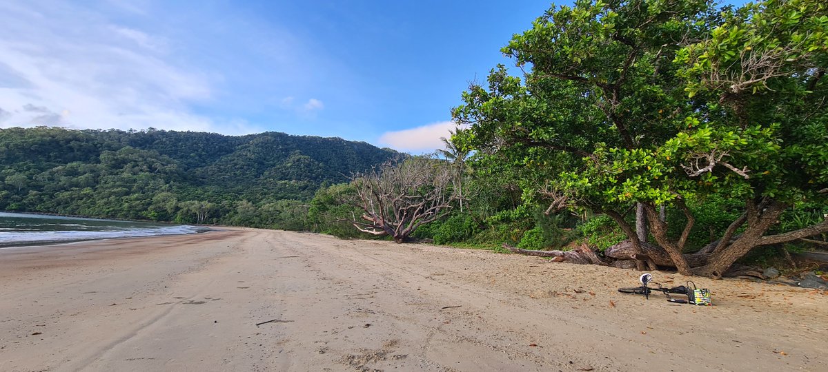 GSS_mag's tweet image. We had the pleasure to visit the beautiful Daintree Forest in far north Queensland, Australia. A must-see for the amazing landscape and extensive biodiversity.