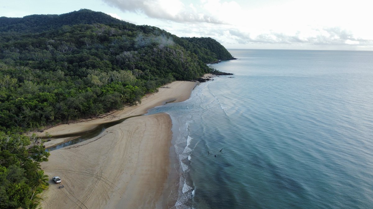 GSS_mag's tweet image. We had the pleasure to visit the beautiful Daintree Forest in far north Queensland, Australia. A must-see for the amazing landscape and extensive biodiversity.