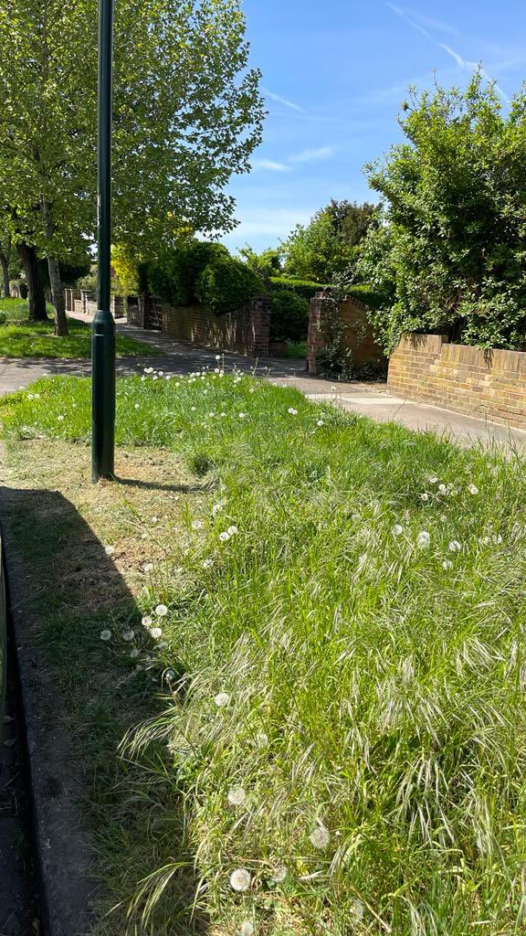 Habibi76's tweet photo. @LBRUT great work mowing the lawn! Some lucky neighbours had their entire street lawns cut whilst mine was just around the lamppost. Explain this? Please come back and do a proper job! #counsiltaxincrease https://t.co/z9h56lOG7O