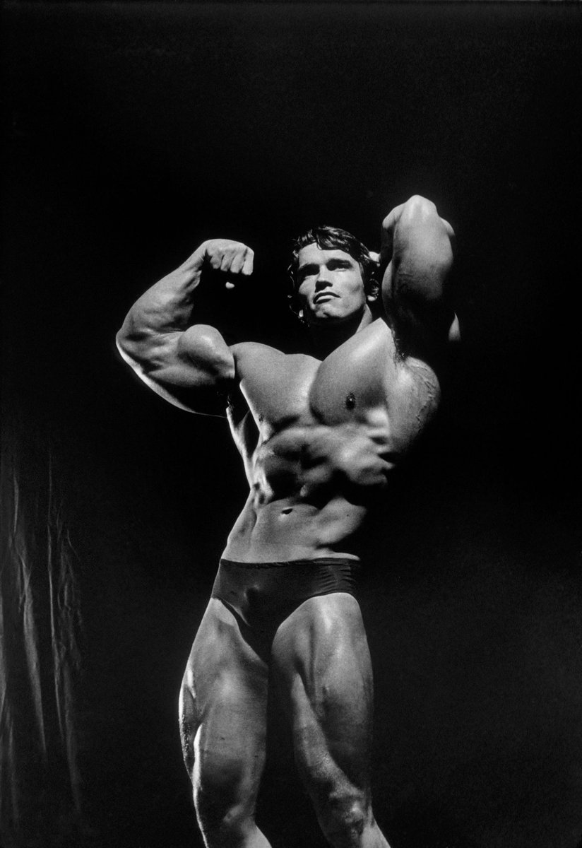 Azazelfit's tweet photo. "Strength does not come from winning. Your struggles develop your strengths. When you go through hardships and decide not to surrender, that is strength." - Arnold Schwarzenegger
#Arnold #stoicism #stoicquote #monkmode #semenretention #ultimatechad #arnoldclassic #masculinity https://t.co/ZWchqX4LQH