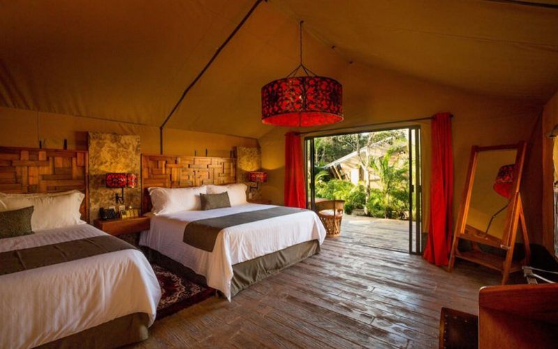 𝗜𝗺𝗺𝗲𝗿𝘀𝗶𝘃𝗲 𝗠𝗮𝘆𝗮𝗻 𝗥𝗶𝘃𝗲𝗿𝗶𝗮, 𝗬𝘂𝗰𝗮𝘁𝗮𝗻, 𝗠𝗲𝘅𝗶𝗰𝗼
- Enjoy the immersive experience of visiting a Mayan community
- Explore an underground cave system unlike any other

buff.ly/381imh3