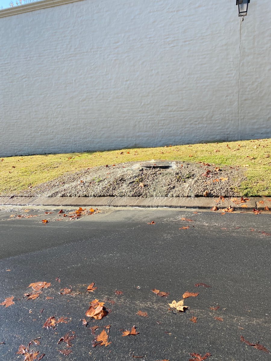 enriqueschoch's tweet photo. URGENT @JHBWater . manhole overflowing in Bentinck Ave in Bryanston. please dispatch team urgently. @emi_koekemoer https://t.co/tP2aIsJeho