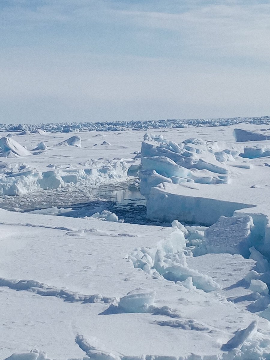 OceanSeaIceNPI's tweet photo. Back in Longyearbyen after successful weeks of oceanographic and sea ice work on northeast Greenland shelf on #FFKronprinsHaakon Lot of rare winter time data collected. Thanks to the participants and ship's crew for a great voyage! @Havforskningen #npolar #FramStraitNPI https://t.co/OHAsZiKh9d