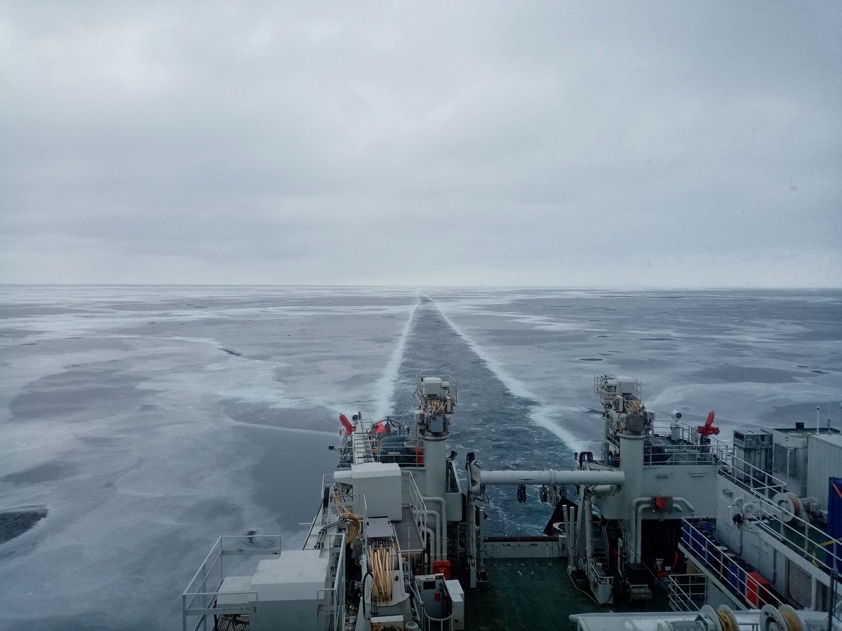 OceanSeaIceNPI's tweet photo. Back in Longyearbyen after successful weeks of oceanographic and sea ice work on northeast Greenland shelf on #FFKronprinsHaakon Lot of rare winter time data collected. Thanks to the participants and ship's crew for a great voyage! @Havforskningen #npolar #FramStraitNPI https://t.co/OHAsZiKh9d