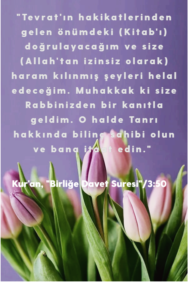#Matematik #19Kodu #İsaMesih #ReşatHalife #AshabunNur youtu.be/IhZ4JM31Y-c