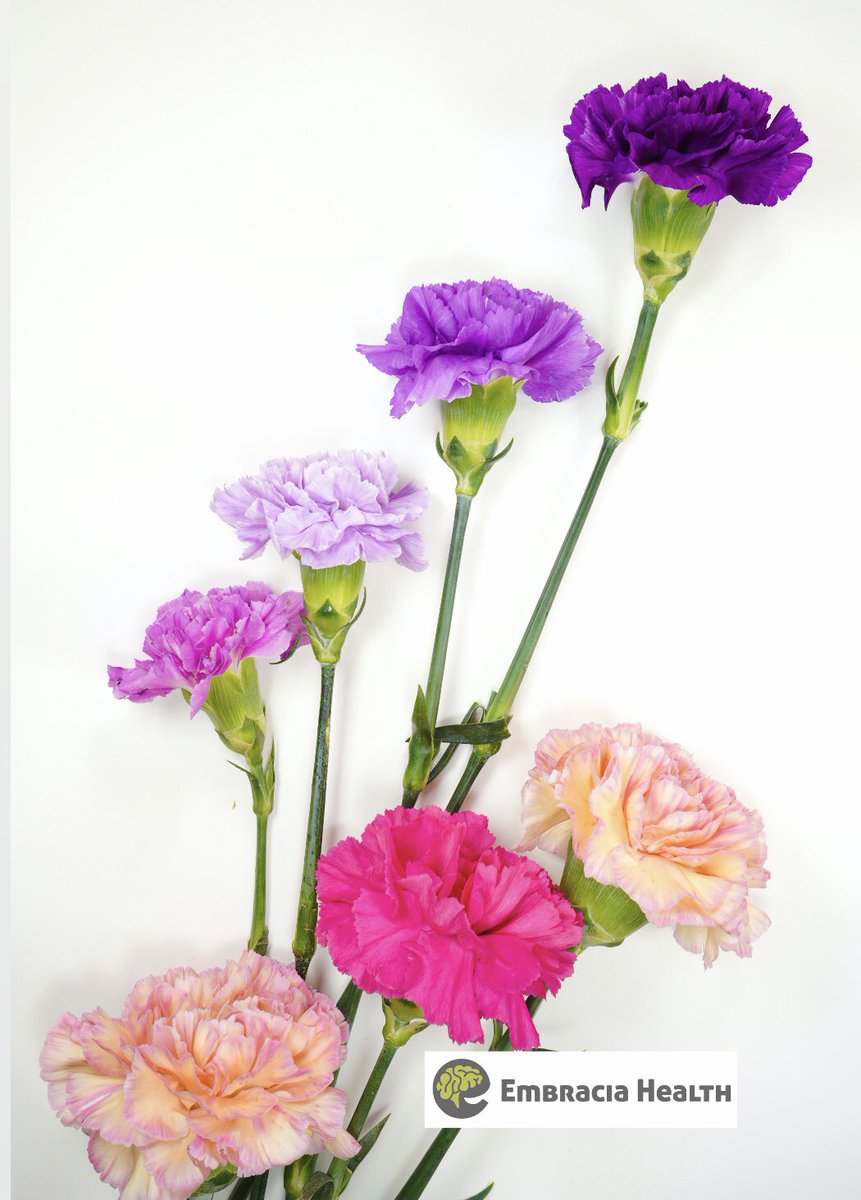 EmbraciaHealth's tweet photo. Embracia Health would like to wish all mothers and mother-figures a very happy Mother’s Day! 

Thank you! 

#mothersday #embracia #embraciahealth #embraciahealthclinic #embraciahealthcanhelp #mentalhealth #addictiontreatment https://t.co/JckV0eboeV