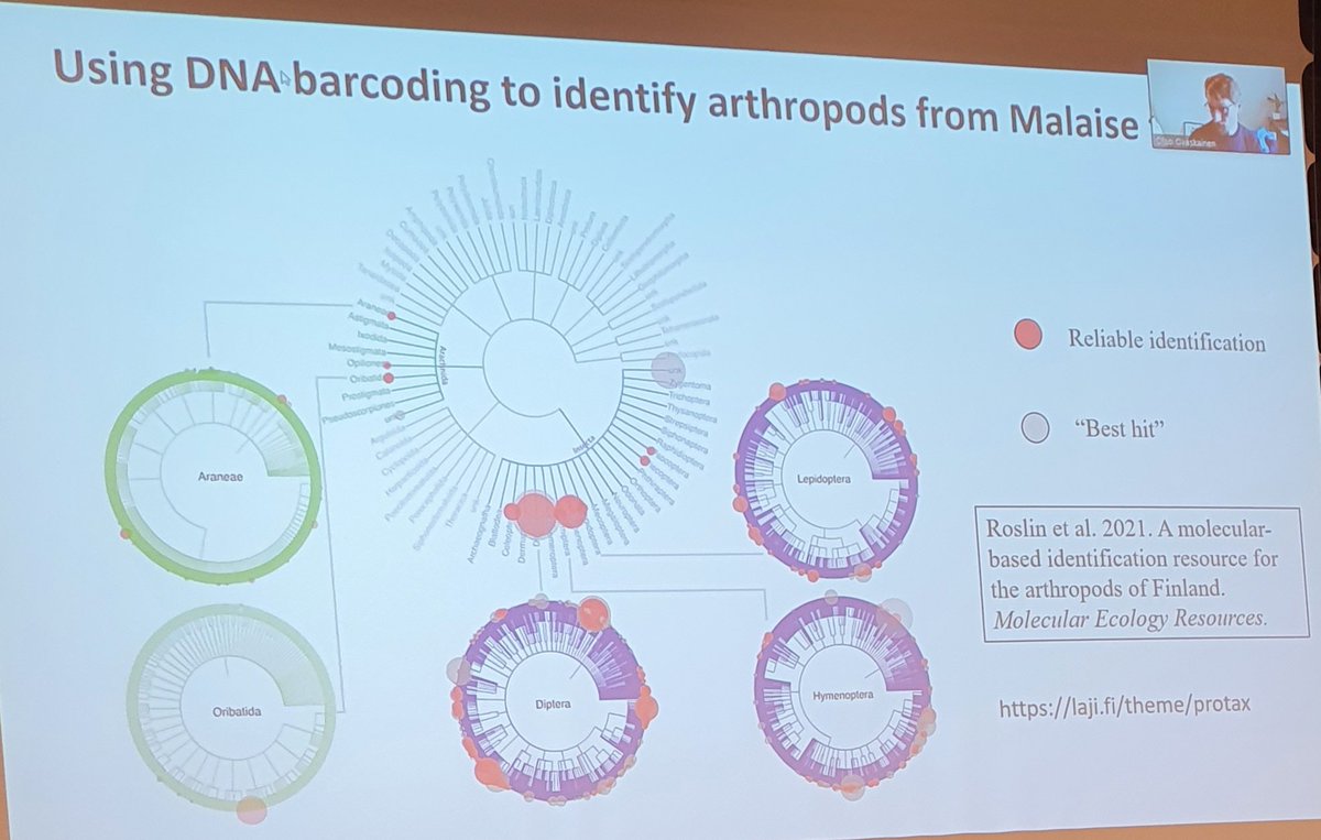 Leif_Sch's tweet photo. Another extremely exciting development in which #FinBIF @lajitieto takes part is the automated #species identification based on #DNAbarcodes, sound recordings or images, in collaboration w/ @bol_fin and @LifeplanProject etc. Also very much in the interest of @SYKEint! https://t.co/2wDy7D9TSB