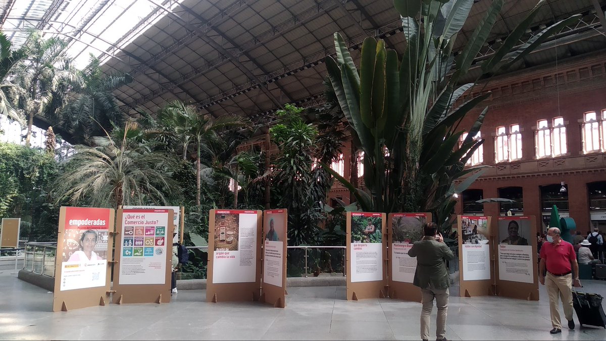CEComercioJusto's tweet photo. ¡Felices de ver ya instalada la exposición #EmpoderadasComercioJusto en el Jardín Tropical de la estación #Madrid Puerta de #Atocha! El #empoderamiento y la #igualdaddegénero, protagonistas del #DíaMundialComercioJusto.
#SomosComercioJusto https://t.co/EM8AMRlzUt