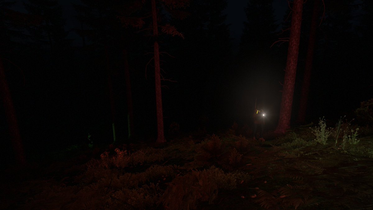 Fid0_'s tweet photo. Getting lost on @Spaggie Deer Isle with these two @MistaHanMan1 @SunniLemonDrop. Who needs enemies with friends like these. #Dayz #NotAfraidofTheDark https://t.co/fK4c2bYcOb