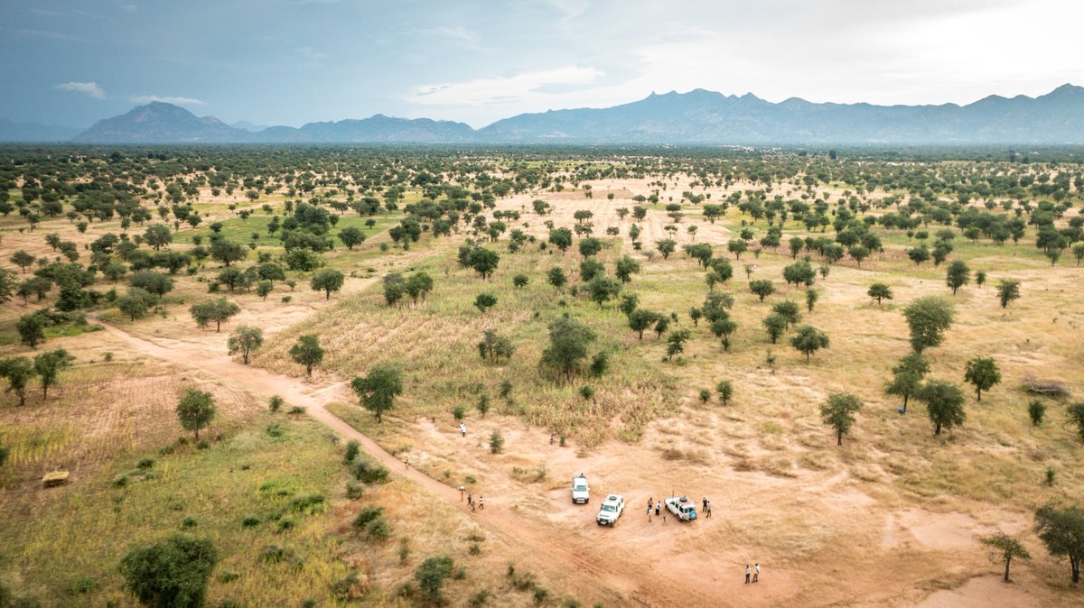 World Food Programme tweet media