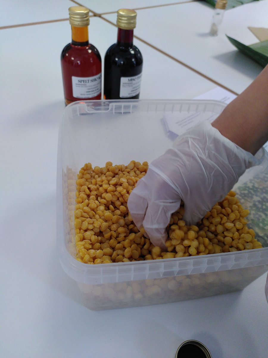 NicoC_MicSynBio's tweet photo. Just arrived at #MicrobialFood conference in Denmark and this one includes real workshop not like the usual workshop being another talk! Making tempeh! #CBC2022 @ScienceCluster https://t.co/W3Pq9wGa0A