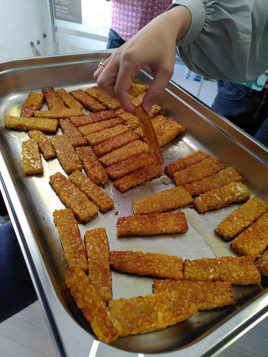 NicoC_MicSynBio's tweet photo. Just arrived at #MicrobialFood conference in Denmark and this one includes real workshop not like the usual workshop being another talk! Making tempeh! #CBC2022 @ScienceCluster https://t.co/W3Pq9wGa0A