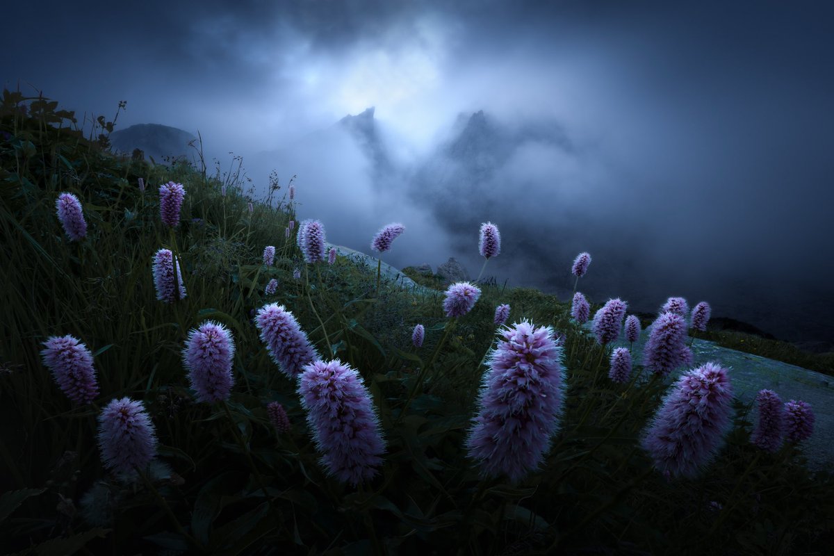 FHrebenda's tweet photo. GM friends! ☕️ Have a nice week

Flower season is almost here and I’m really looking forward to it! This is one unknown scene of Slovak National park called “High Tatras”

#Slovakia #photooftheday #landscapelovers https://t.co/wJGMpLt5FS