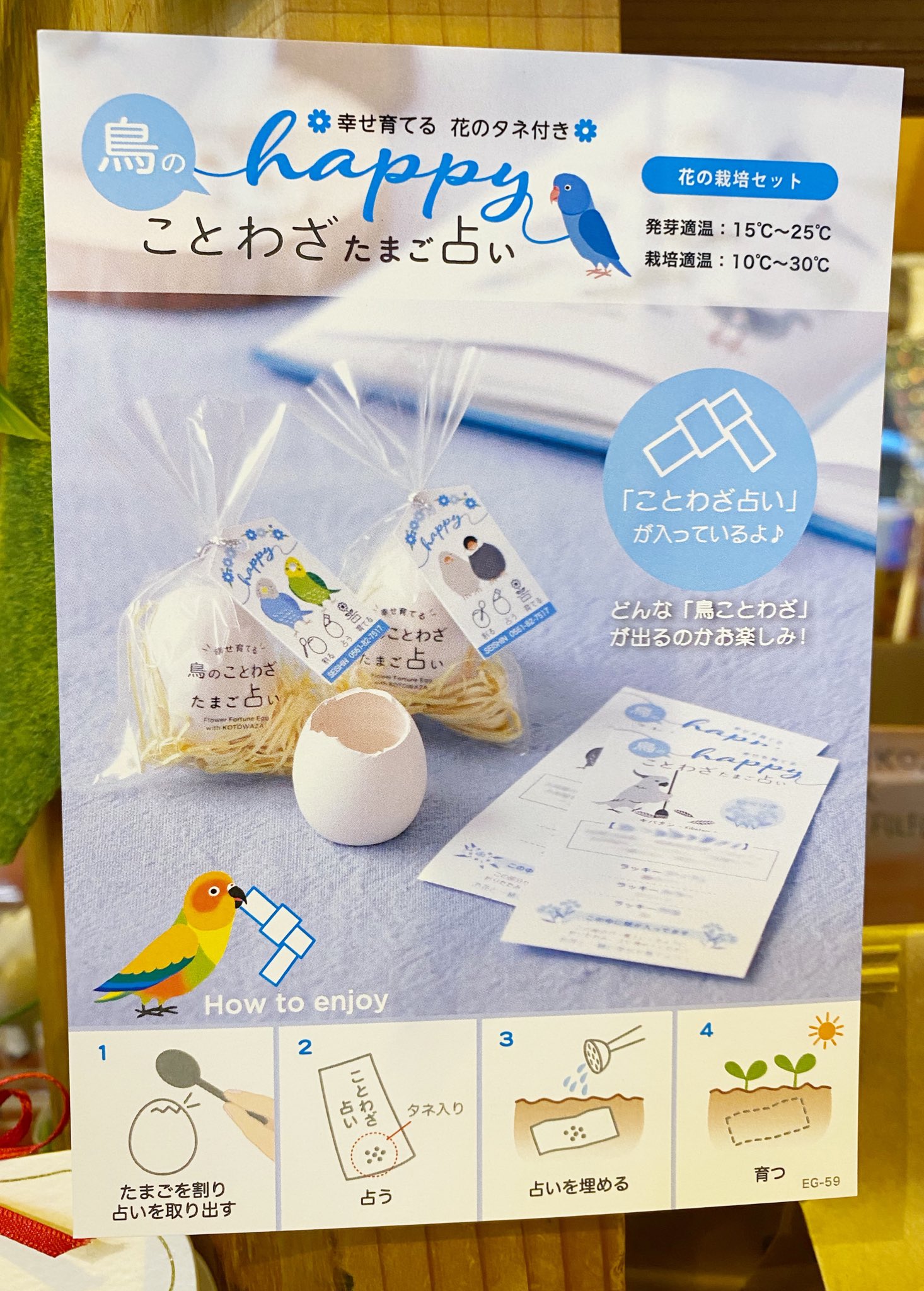 文房堂 ぶんぽうどう 画材 文具 雑貨 10 00 18 30まで営業中 鳥のことわざ コロンとしたたまご型がかわいい 幸せを育てる 鳥のことわざ たまご占い 占いの紙には種が入ってて お花を咲かせることも出来るんですって 普通にかわいいので