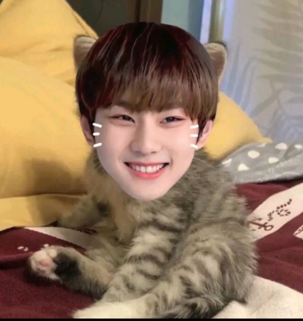 killua (@killuapenbot) on Twitter photo 