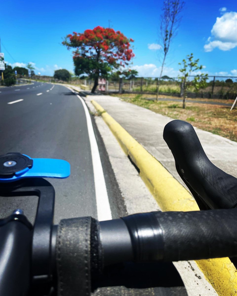 Wicked Adobo 🎧 tweet media