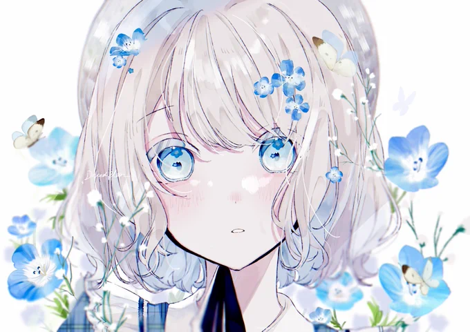 Nemophila 