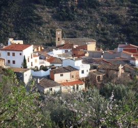 espadaniques's tweet photo. NOU AL BLOG! 🤝

La Surera d'#Almedíjar es transforma i així ens ho han contat! #SerraEspadà @AAlmedijar

https://t.co/Duk7suHuHB https://t.co/1CY7BNcDEm