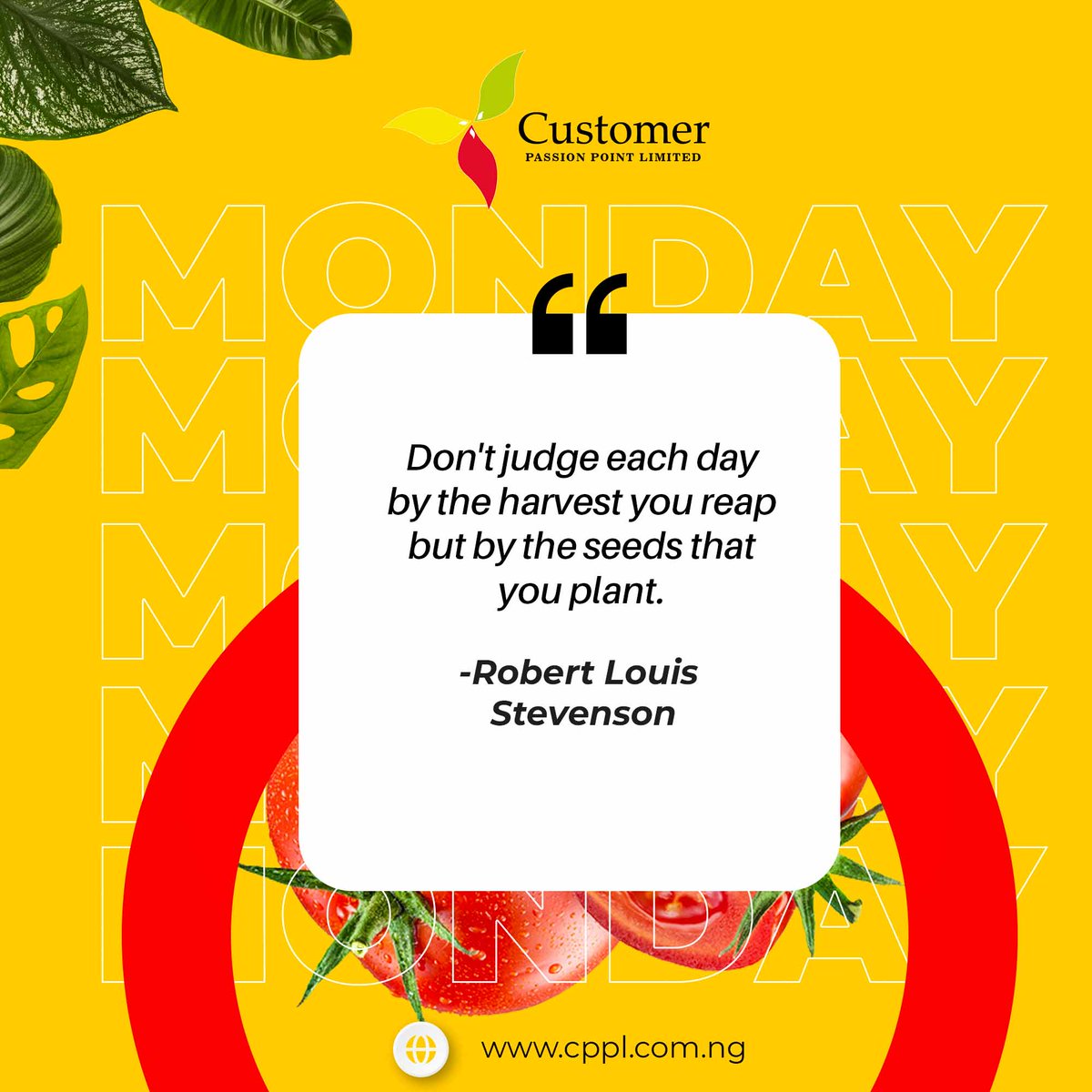 cppltraining's tweet photo. Don’t give up, some ideas take a while to materialize.
#CPPLTRAININGPROGRAM #cppltraining #Monday #May #plant #robertlouisstevenson #seeds #act #beginning #ideas #success #nevergiveup #cppl #inspire #dreams https://t.co/1Hy6bxYgAw