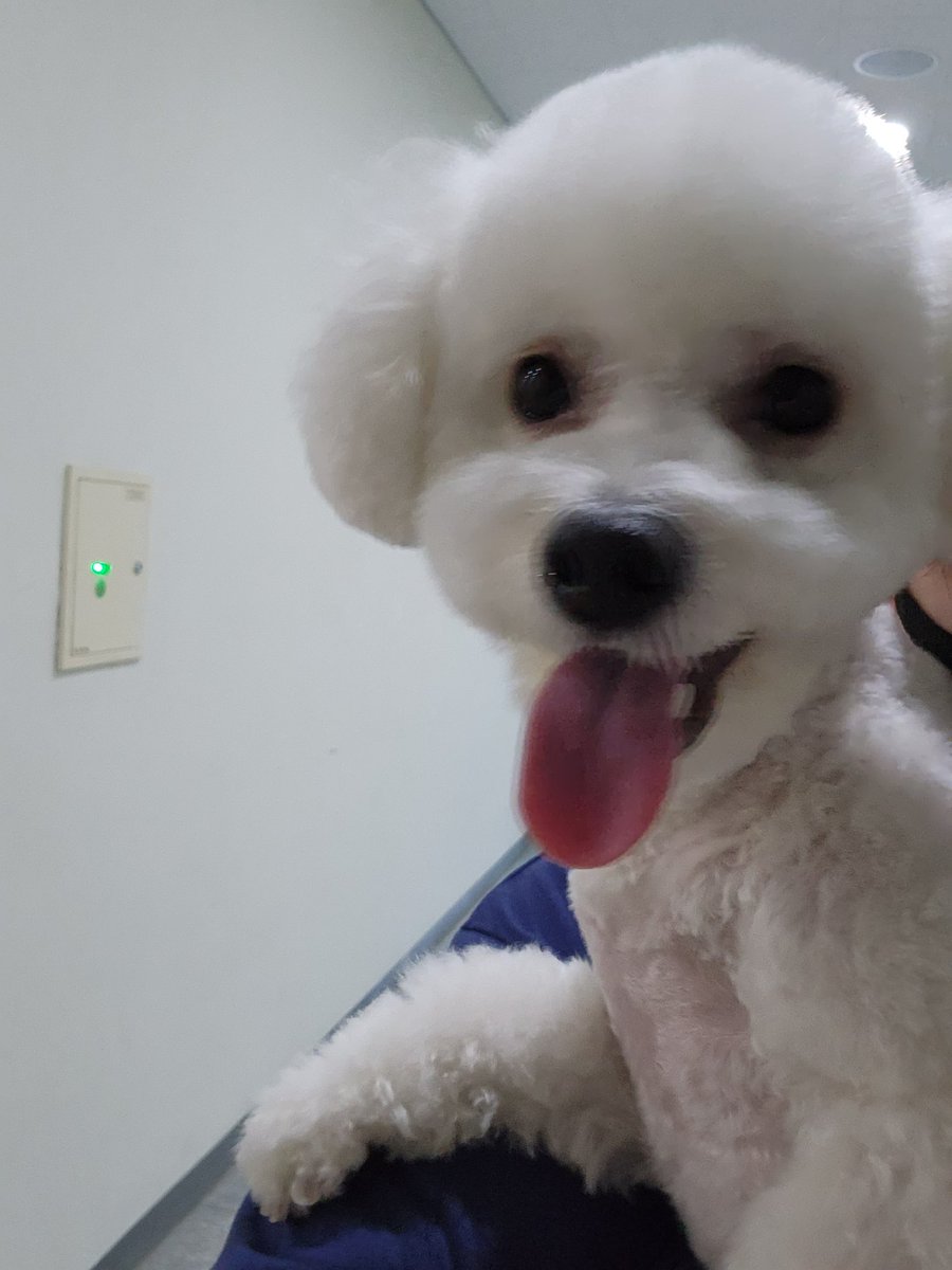 arabian9127's tweet photo. ㅋㅋㅋㅋㅋㅌㅌㅌㅌ미용함 https://t.co/NzNSfz6c68