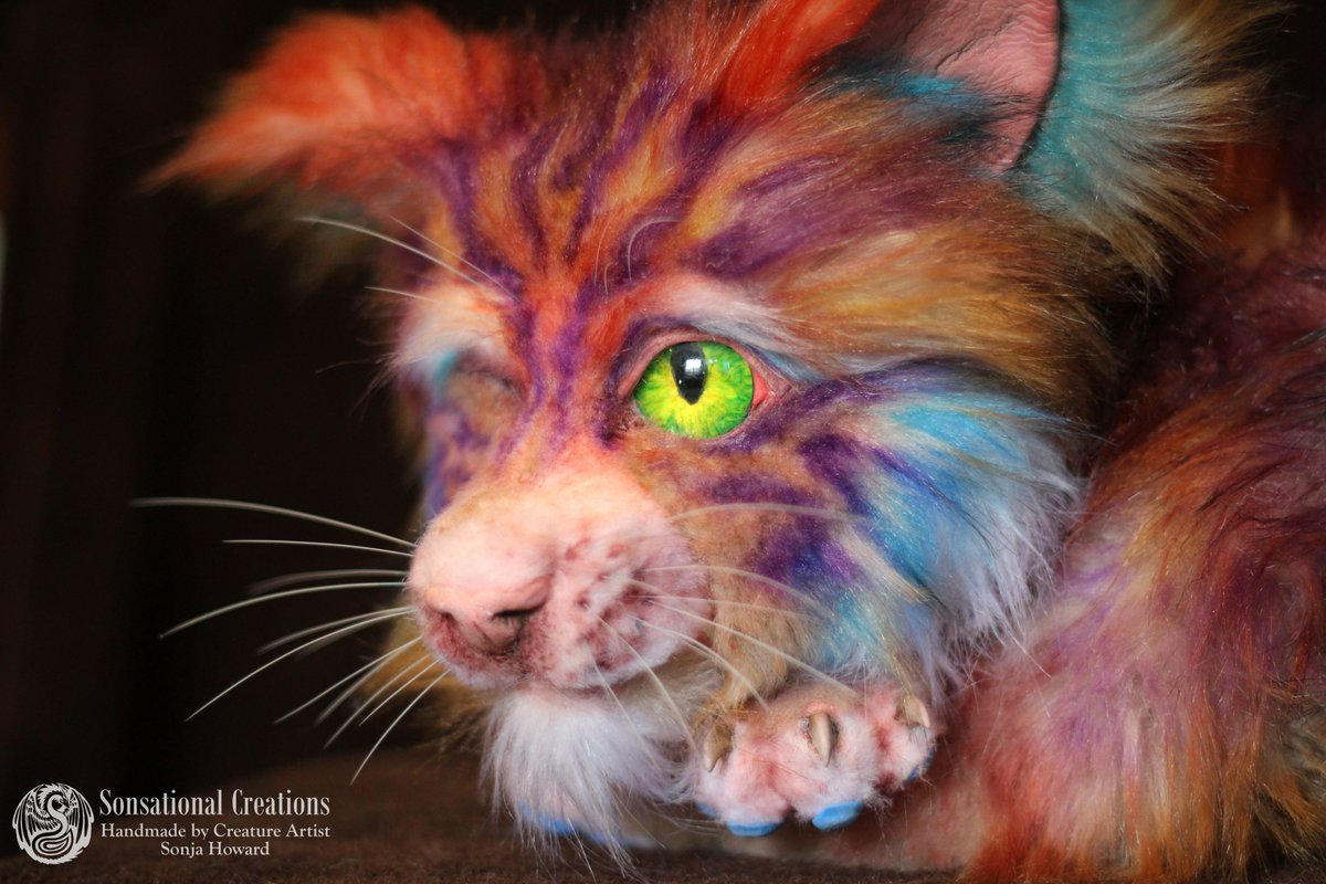 Fantasy cat I made for Wētā Workshop Unleashed in 2020! It was my first project with them and I almost exploded with excitement. It sits in the booth with the animatronic receptionist, Geoff! 
<a href="/WetaWorkshop/">Wētā Workshop</a> 
#wetaworkshop #wetaworkshopunleashed #cat #fantasycat #handmade #artwork