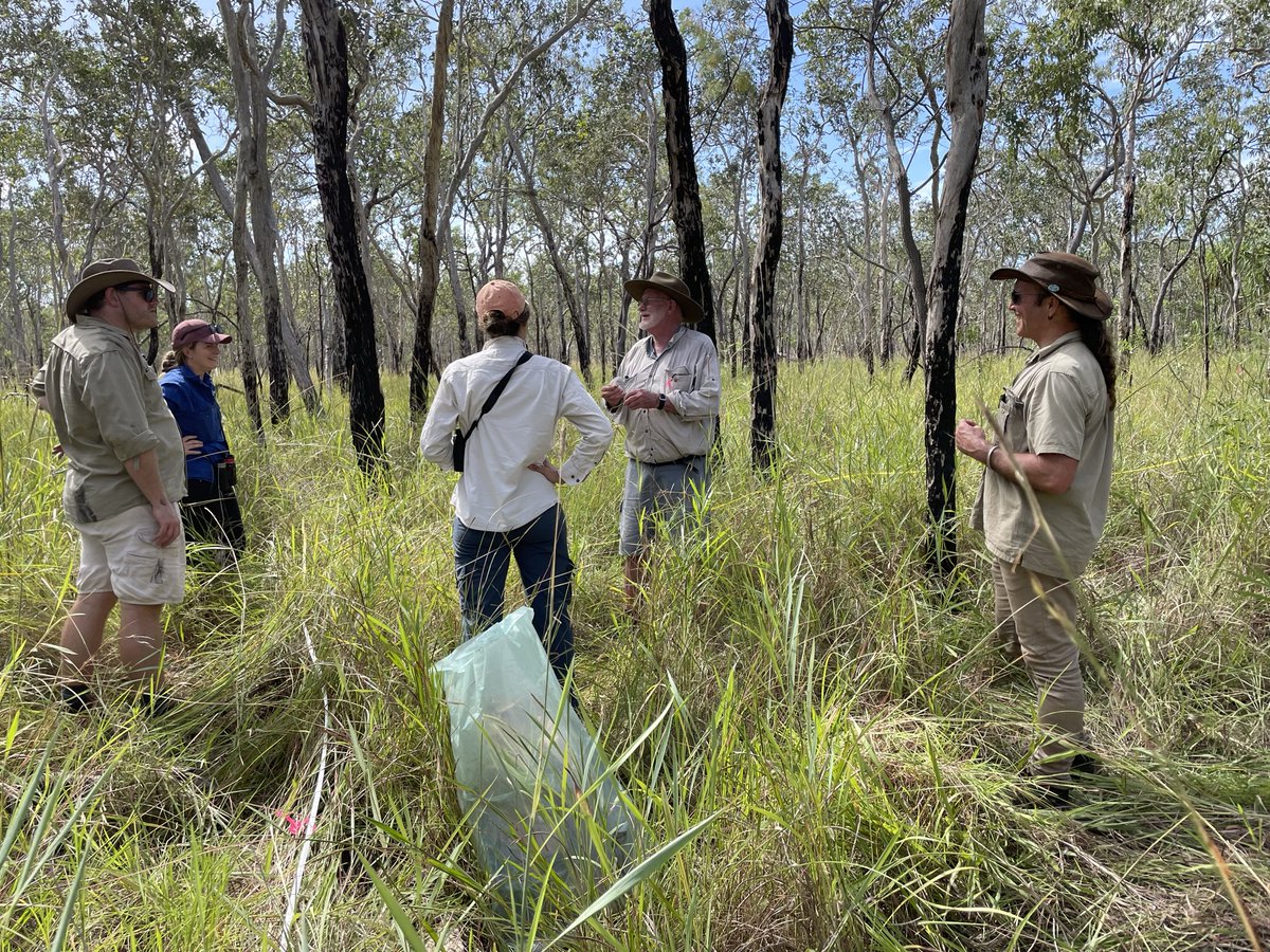 MER Pilot monitoring has begun in the beautiful blue gum savanna at Mutarnee NQ – with plant ID lessons led by special guest Keith McDonald <a href="/TerrainNRM/">Terrain NRM</a> <a href="/TERN_Aus/">TERN</a> @Envirogov <a href="/SuzanneProber/">Suzanne Prober</a> @SamNicol16 <a href="/CSIRO/">CSIRO</a> @RAMorgain <a href="/NRMRegions/">NRM Regions</a>