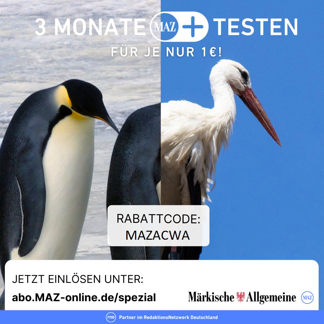 3 Monate für 3€

Eintreten für unabhängigen Journalismus.
Exklusiver Zugang zu Inhalten aus der Region. Mittendrin statt nur dabei. ;)

Nach dem Aktionszeitraum nur 9,99€ pro Monat und monatlich kündbar.

#maz #mazonline #unabhängigerjournalismus #zeitung #potsdam #journalismus