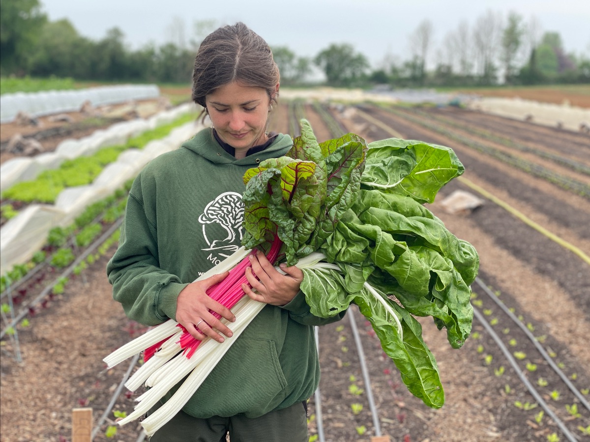 tenmilemenu's tweet photo. This week's veg boxes 🌞 - https://t.co/eF0uAw8GQa

#organic #organicvegbox #knowwhatyoueat https://t.co/voFhkTdqiu