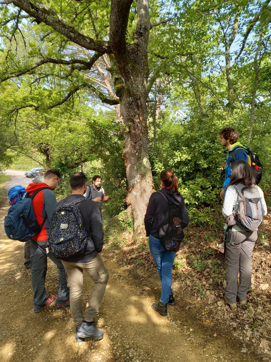 SLichenologica's tweet photo. Ecco alcune immagini della prima escursione lichenologica di questo anno tenutasi sabato 7 maggio presso la località di #Crevole nei pressi di Murlo (Siena).
#licheni #escursione #GdLBiologia #biologia https://t.co/dKXWiGK1Rp