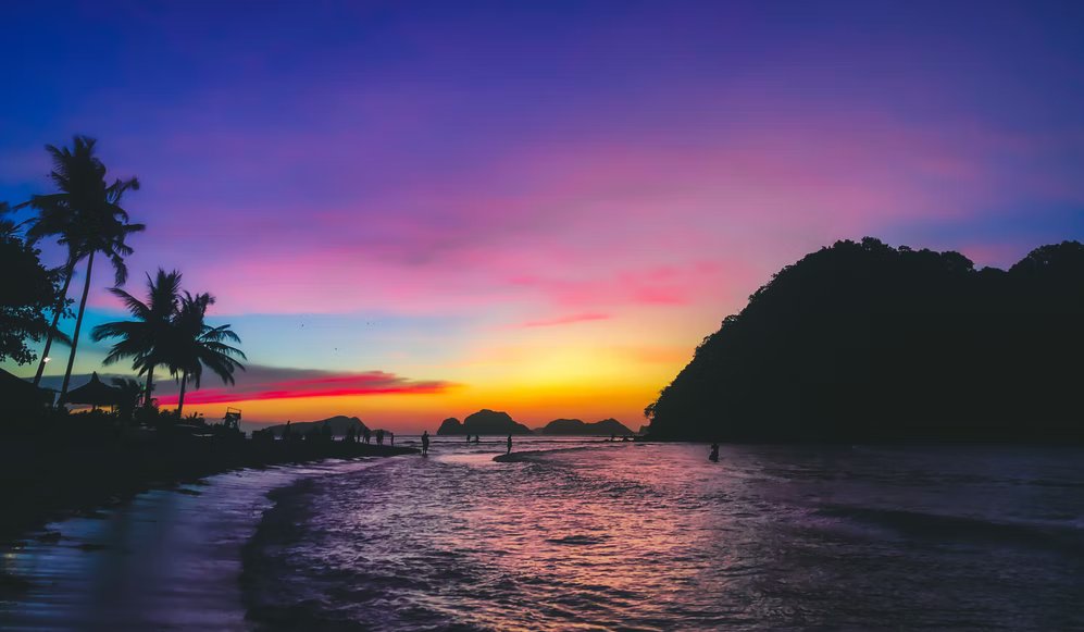 Amaz Pronos tweet media