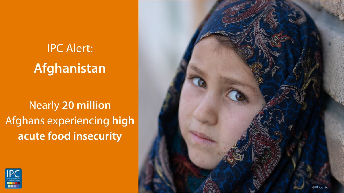 ❗️ #Afghanistan Alert:
 
High acute food insecurity persists.
 
A collapsing economy &amp; drought is depriving nearly 20 million Afghans of food, classified in Crisis or Emergency (IPC Phases 3 or 4), between March &amp; May 2022.
 
Full analysis ➡️ ipcinfo.org/ipcinfo-websit…