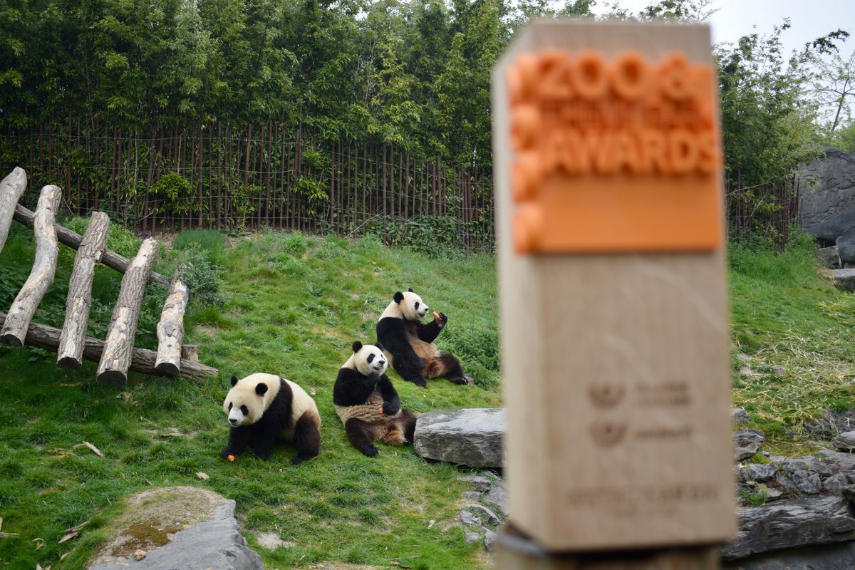 🏆 Very proud to win "Best Belgian Zoo" for the 2nd time in a row! 

🗳 In an online poll with 1.600 participants, #PairiDaiza won the popular vote with a whopping 72% of the popular vote🤯