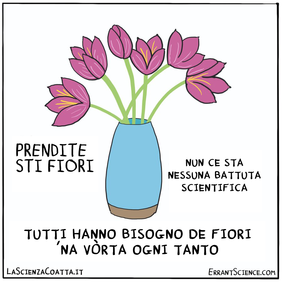 ScienzaCoatta's tweet photo. 💐💐💐
( via  @ErrantScience )
#lascienzacoatta #errantscience #fiori https://t.co/74xQJhIDoW